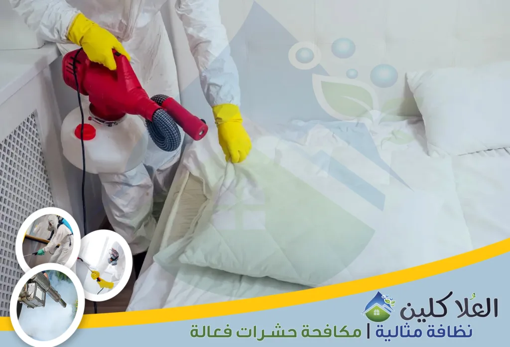 أرخص شركة مكافحة بق الفراش بالدمام