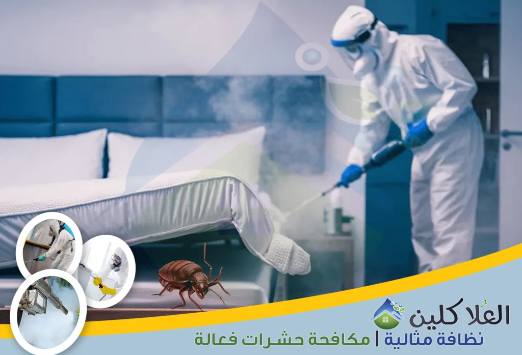 أرخص شركة مكافحة البق بالدمام