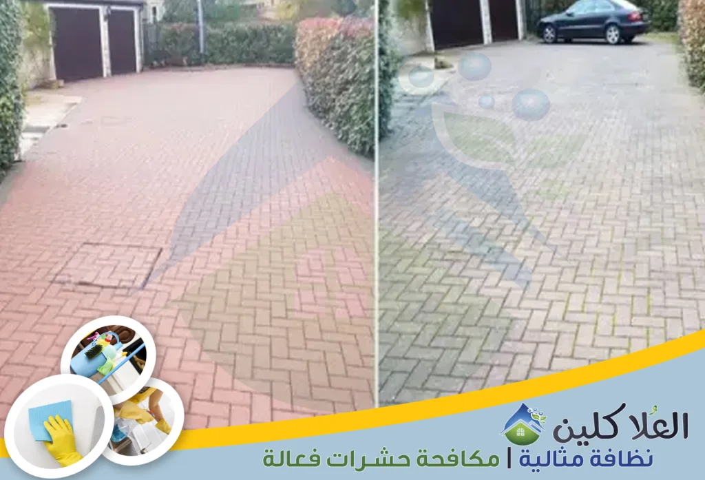 أفضل شركة تنظيف أحواش بالدمام