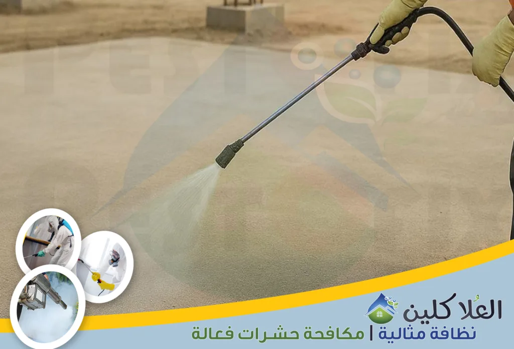 شركة رش دفان بالدمام | 0564040671 | ضمان حتى 15 عام 1 أرخص شركة رش دفان بالدمام لمكافحة النمل الأبيض قبل البناء