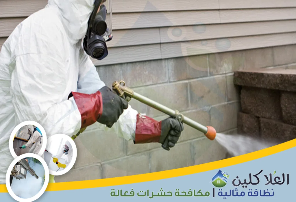 شركة رش دفان بالدمام | 0564040671 | ضمان حتى 15 عام 3 شركات رش الدفان بالدمام لمكافحة النمل الأبيض قبل البناء