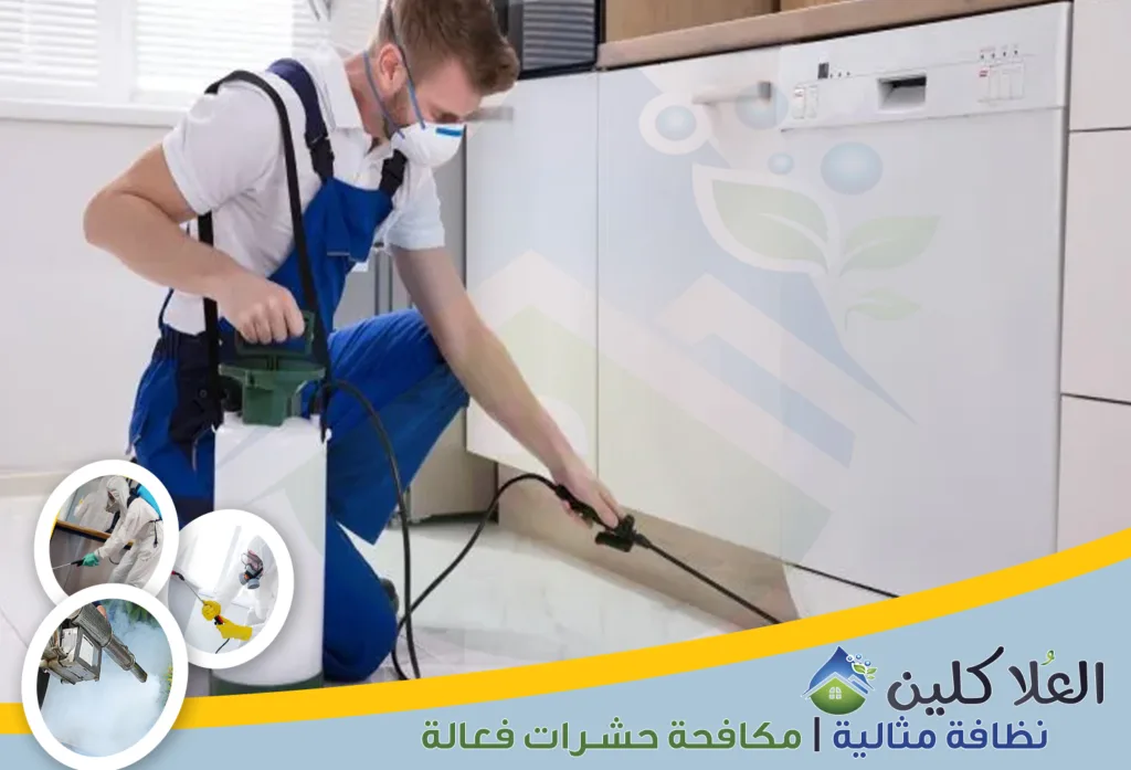 شركات مكافحة الحشرات بالخبر
