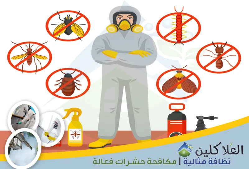شركة مكافحة حشرات بالخبر | 0564040671 | إبادة تامة بالضمان