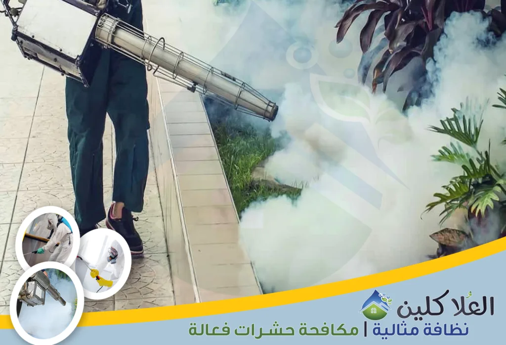 شركات مكافحة الحشرات في الدمام