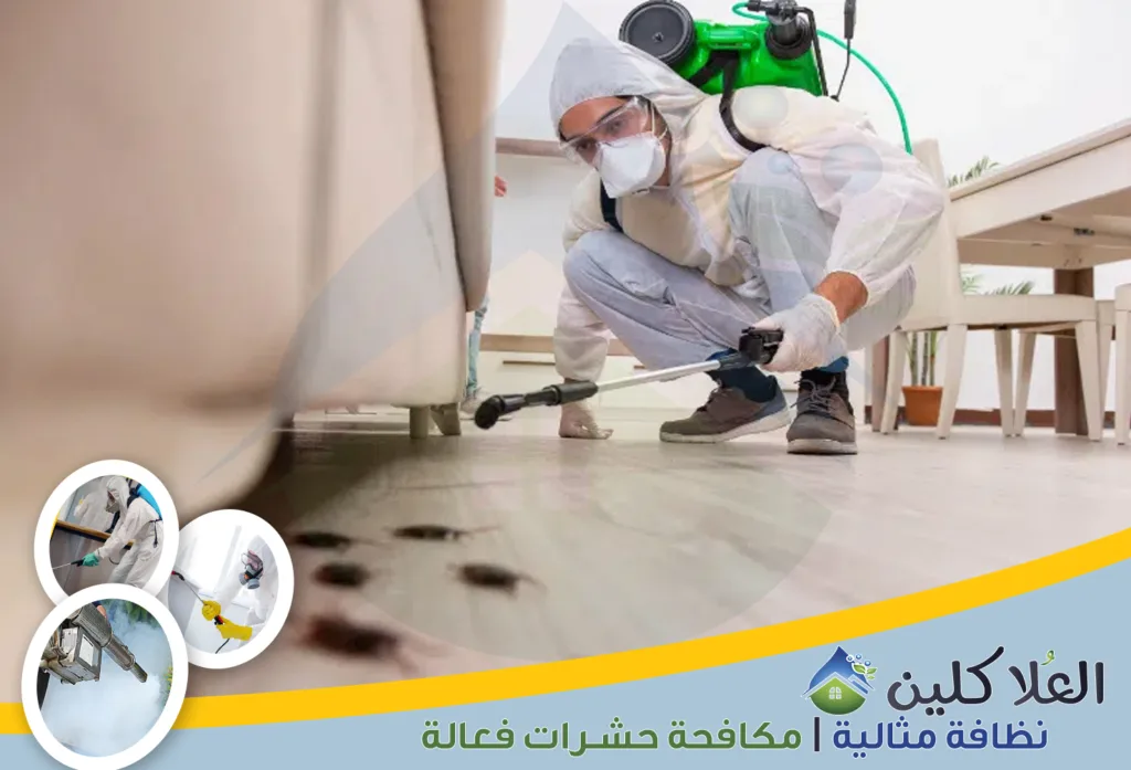 شركة مكافحة صراصير بالدمام