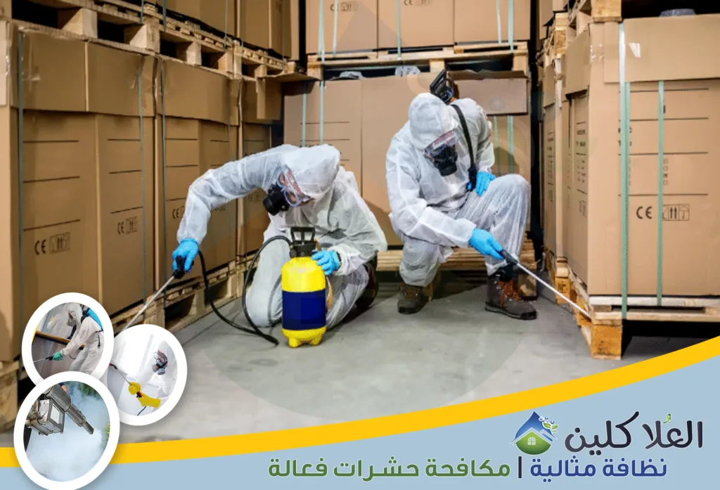 شركة مكافحة فئران بالدمام