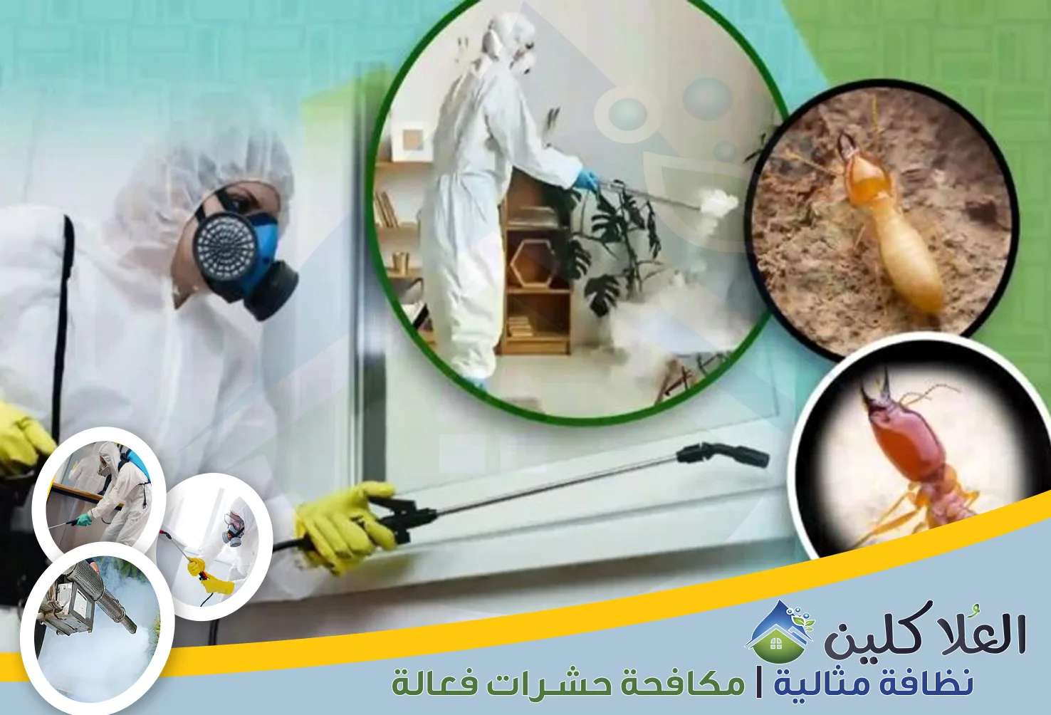 شركة مكافحة حشرات بالدمام | 0558871483 | إبادة تامة بالضمان