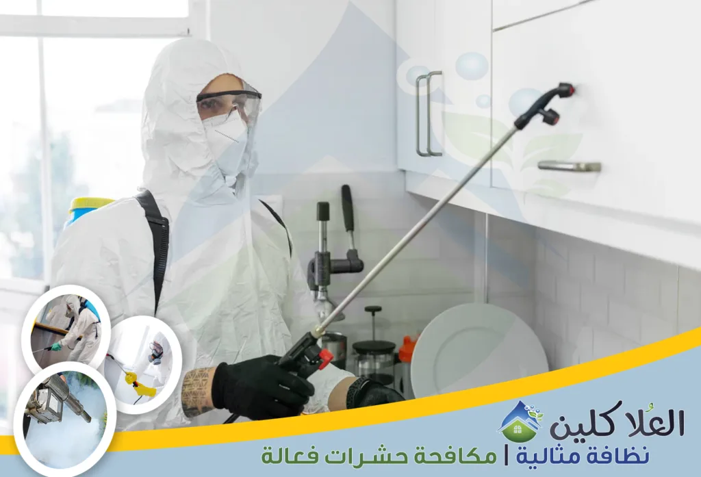 شركة رش مبيدات حشرية بالدمام