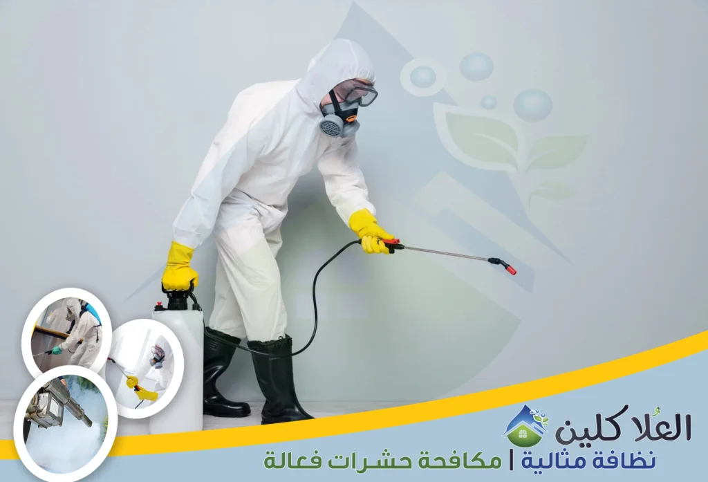أرخص شركة رش مبيدات بالدمام
