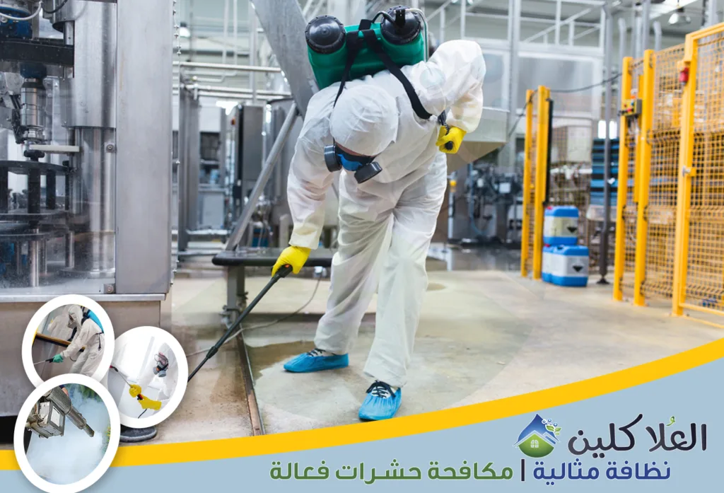 شركات رش مبيدات حشرية بالدمام