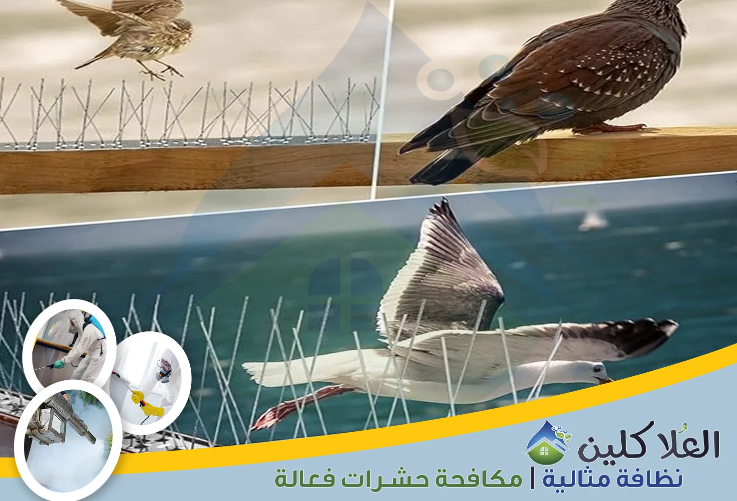 شركة تركيب طارد حمام بالدمام | 0564040671 | مكافحة الحمام بالضمان