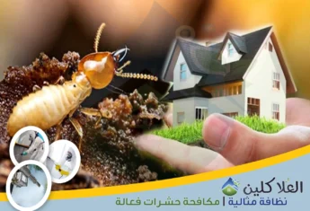 شركة مكافحة النمل الأبيض بالخبر | 0564040671 | وقاية شاملة بالضمان