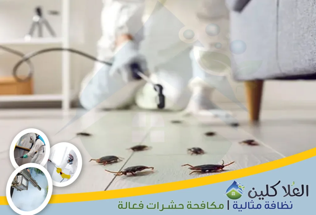 أفضل شركة مكافحة صراصير بالخبر | إبادة تامة بالضمان