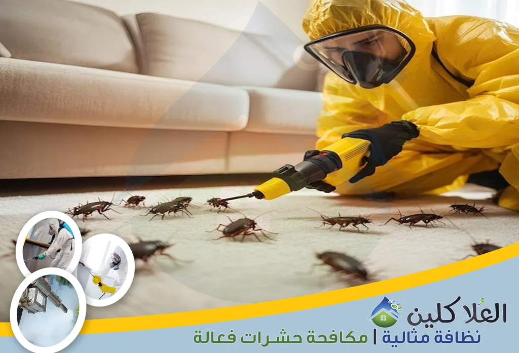 ارخص شركة مكافحة صراصير بالدمام