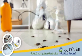 شركة مكافحة الصراصير بالدمام | 0564040671 | إبادة تامة بالضمان