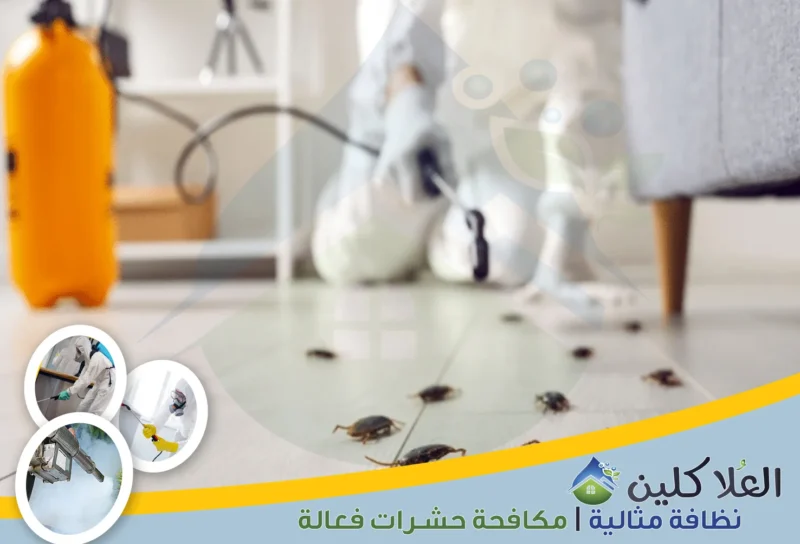 شركة مكافحة الصراصير بالدمام | 0564040671 | إبادة تامة بالضمان