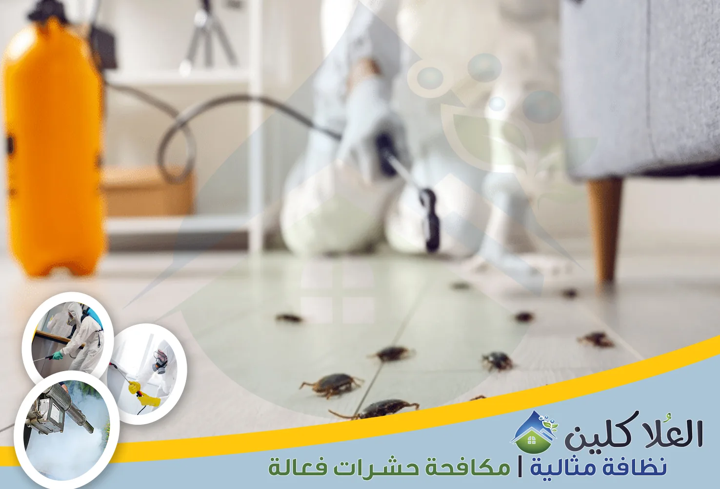 شركة مكافحة الصراصير بالدمام | 0564040671 | إبادة تامة بالضمان