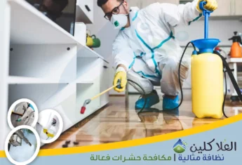 شركة مكافحة حشرات بحفر الباطن | 0564040671 | إبادة تامة بالضمان