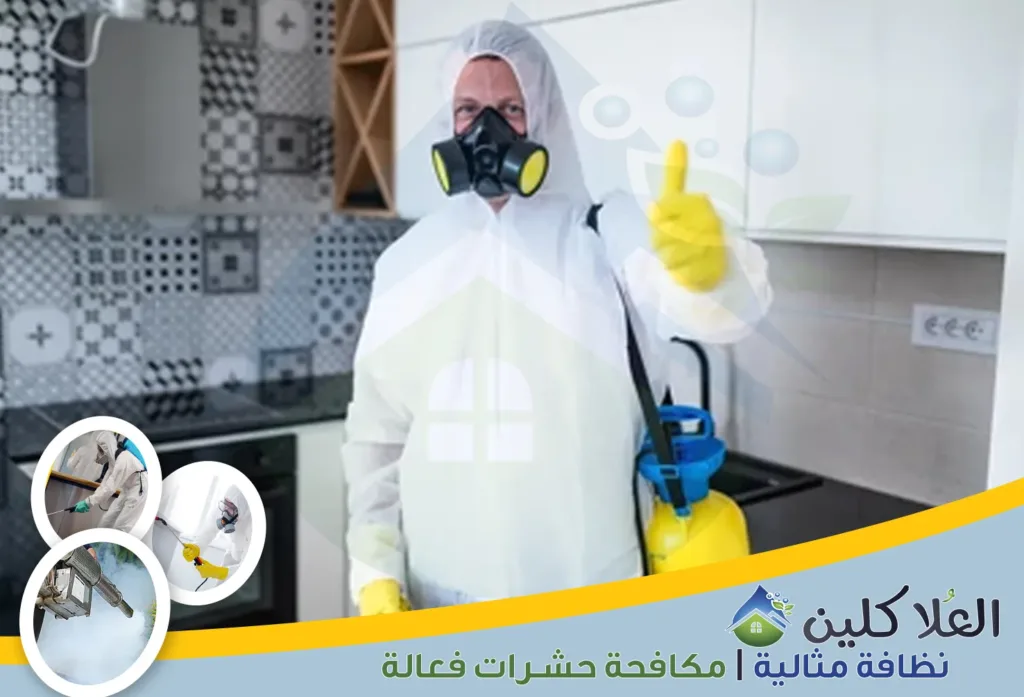 أفضل شركة رش مبيدات بحفر الباطن