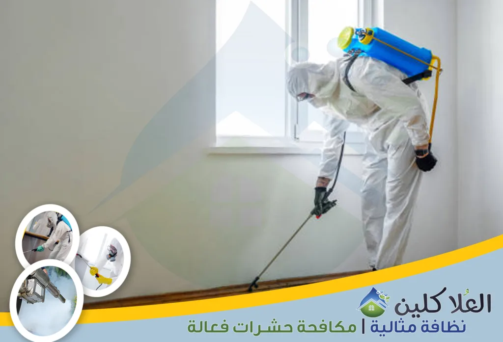 أرخص شركة رش مبيدات بحفر الباطن