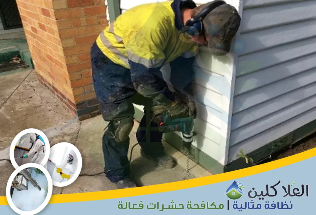 أفضل شركة لمكافحة النمل الأبيض داخل المنزل في حفر الباطن