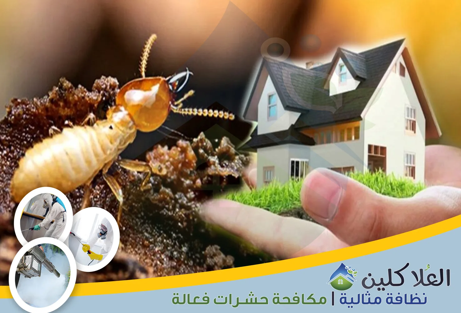 شركة مكافحة النمل الأبيض بحفر الباطن | 0564040671 | وإبادة شاملة بالضمان