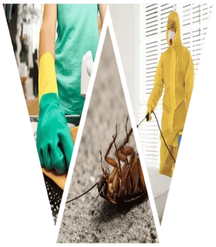 شركة العلا كلين للخدمات المنزلية